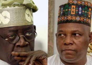 2027 Elections: Dropping Shettima May Undermine APC’s Chances in North, Warns Minister Musawa