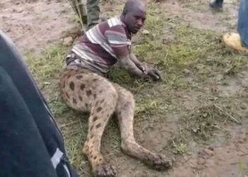 Shocking Incident in South Africa: Man Allegedly Turns into Half-Hyena After Affair with Married Woman