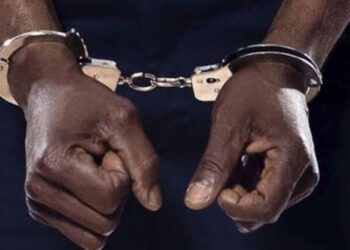 Nigerian With Expired Visa Arrested In India With MDMA, Ecstasy Pills