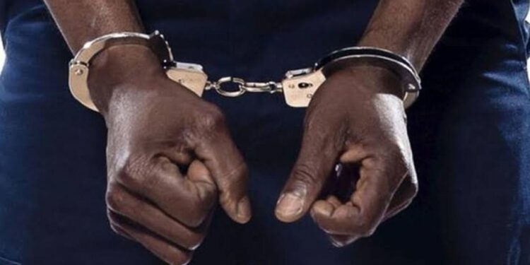 Nigerian With Expired Visa Arrested In India With MDMA, Ecstasy Pills