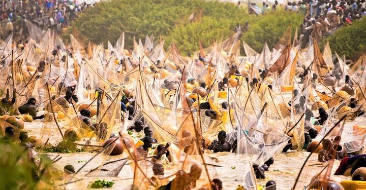 Photo From The 61st Argungu Festival In Kebbi State