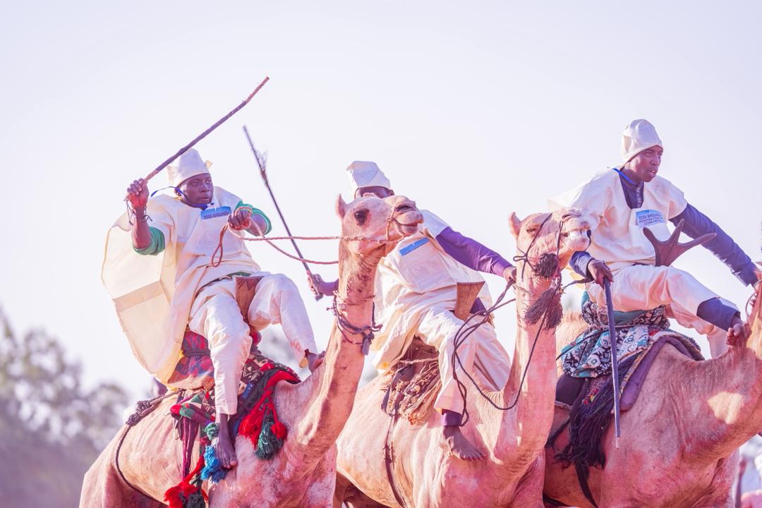 19796050 argungucamelraceii jpeg1268b9f4f522aa86433f2713f09b2b0e NaijaChoice