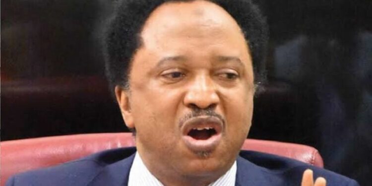 Probe El-rufai’s Eight Years As Governor, Shehu Sani Urges EFCC