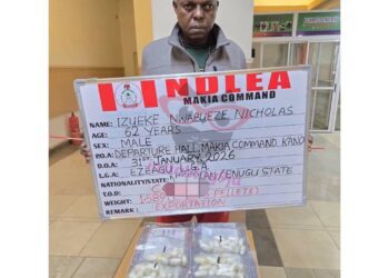 I Wanted To Complete My Village Mansion – Drug Smuggler To China Caught