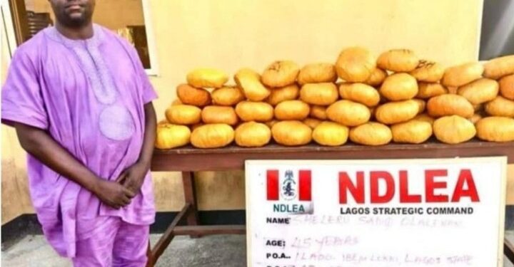 NDLEA Nabs Former Ibeju-Lekki Councillor with 40kg of Skunk in Lagos Residence 1 NaijaChoice NDLEA Nabs Former Ibeju-Lekki Councillor with 40kg of Skunk in Lagos Residence