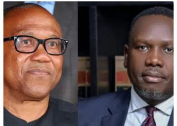‘You Have A History Of Dishonesty’ – Obi Denies Trying To Hire Bwala In 2023