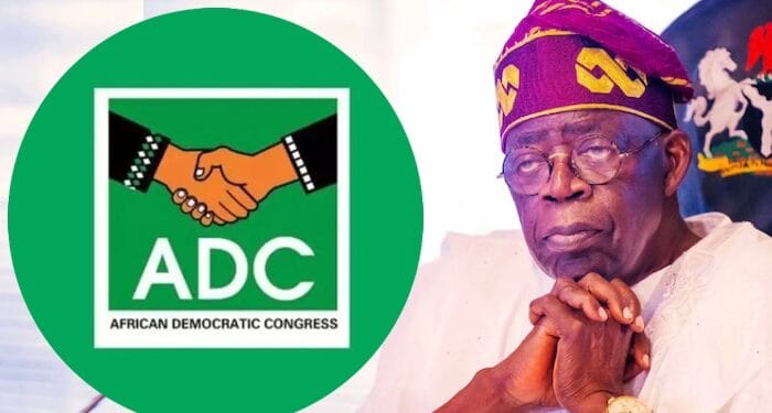 2027: APC Government Destroying Opposition For Tinubu To Stay In Power – ADC