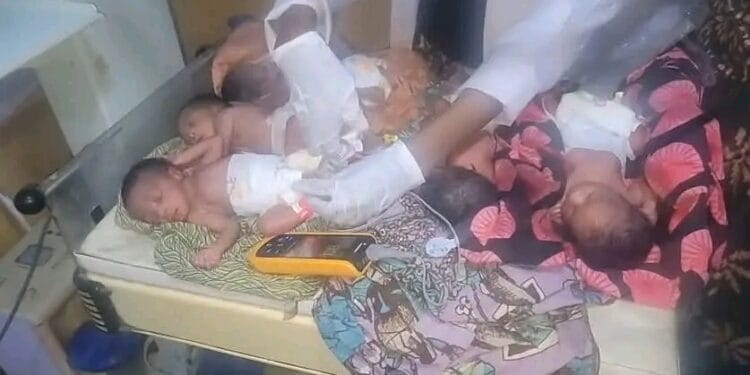 Kano Woman Delivers Quintuplets, Dies Hours After