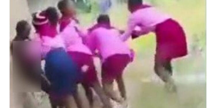 Female Students Strip Classmate Naked In Benue School (Video)