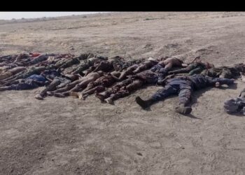 63 Bodies Of Boko Haram/ISWAP Terrorists Recovered In Malam Fatori