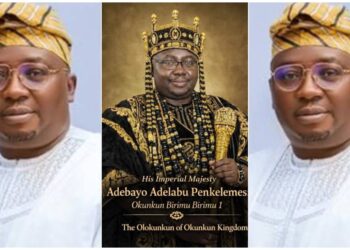 Nigerians Blast Power Minister Adebayo Adelabu Over Persistent Blackouts