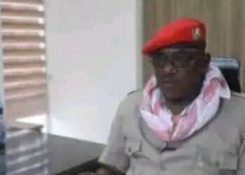 The Coming Of American Troops Has Worsened Security Situation – Solomon Dalong