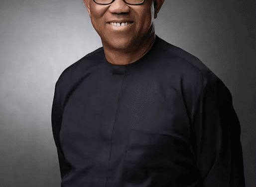 Peter Obi Warns: I Will Leave The ADC If The Party’s Primary Becomes Transactional