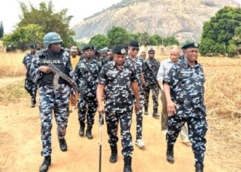 Nigeria Police Reforms: 4-Year IGP Term Gazetted