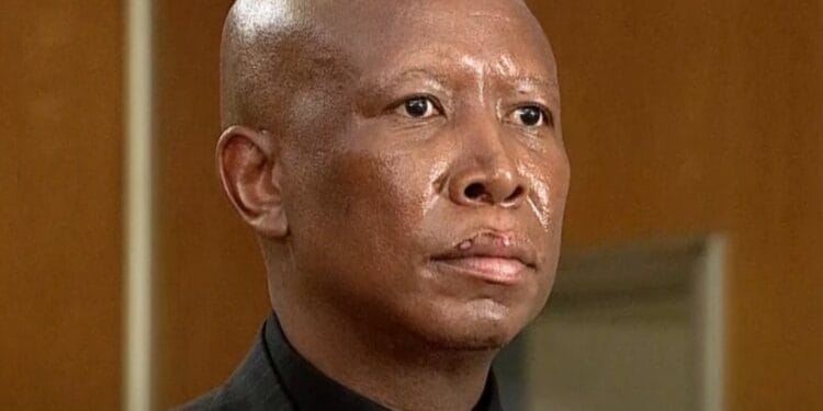 Julius Malema Sentenced To Five Years Imprisonment For Firing A Gun In Public
