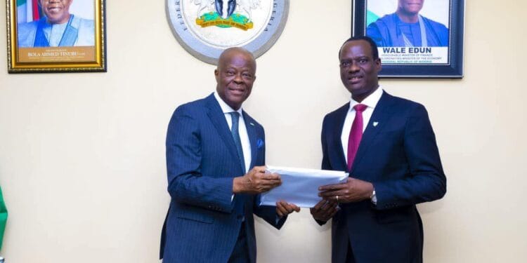 Taiwo Oyedele Takes Over as Finance Minister