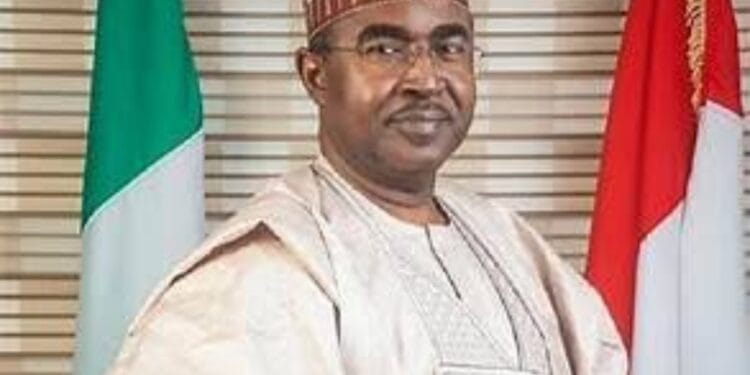 Adamawa Elders Outraged: ISWAP Massacre At Football Match Claims 29 Lives