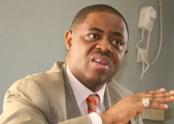 Fani-Kayode: Peter Obi Will Never Be President