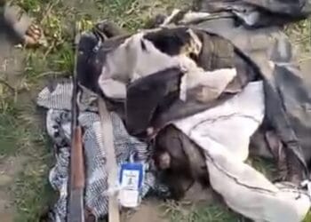 Elephant Attack Claims One Life and One Missing in Oyo State