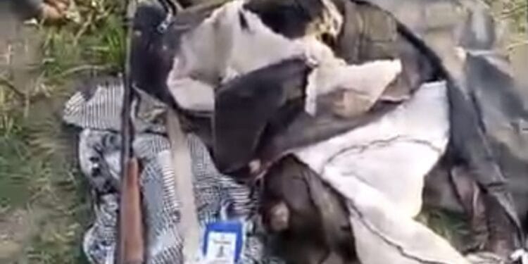 Elephant Attack Claims One Life and One Missing in Oyo State