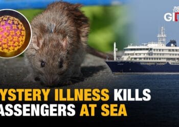 Hantavirus: Mystery Illness Kills 3 Cruise Ship Passengers Off Coast Of Africa
