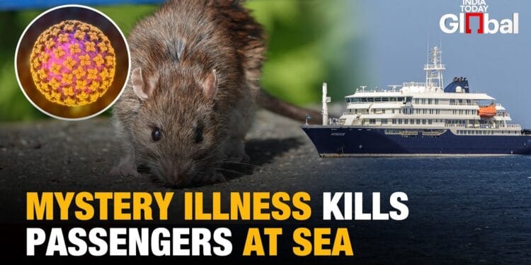 Hantavirus: Mystery Illness Kills 3 Cruise Ship Passengers Off Coast Of Africa