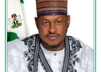 There Are Moles Among Us, Bandits Know Our Plans Within Minutes – Dikko Radda
