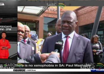 There Is No Xenophobia In South Africa – Deputy President, Paul Mashatile