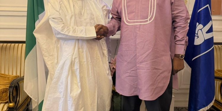 Dickson Is Building & Leading NDC With Vision, Selflessness, Patriotism – Anichebe