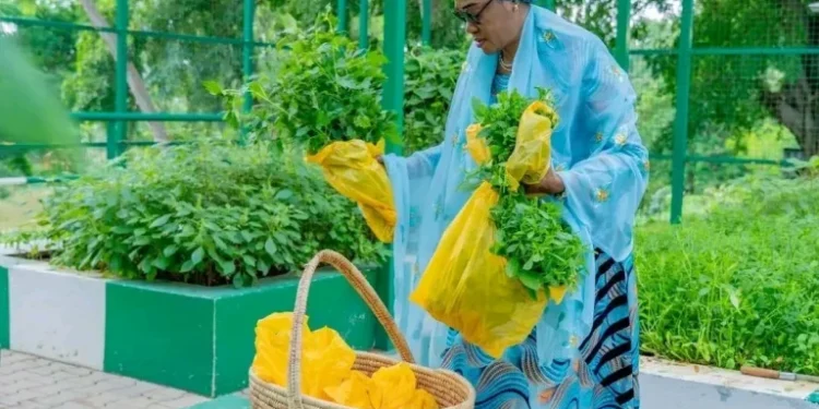 First Lady Tinubu Harvests Vegetables from Villa Garden (PHOTOS)