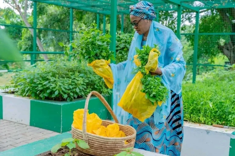 First Lady Tinubu Harvests Vegetables from Villa Garden (PHOTOS)