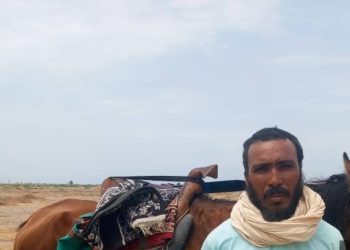 Nigerian Army Arrests Moroccan Terrorist In Borno