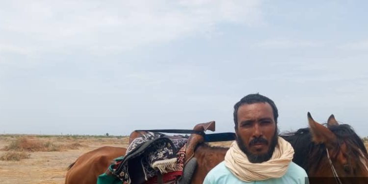 Nigerian Army Arrests Moroccan Terrorist In Borno