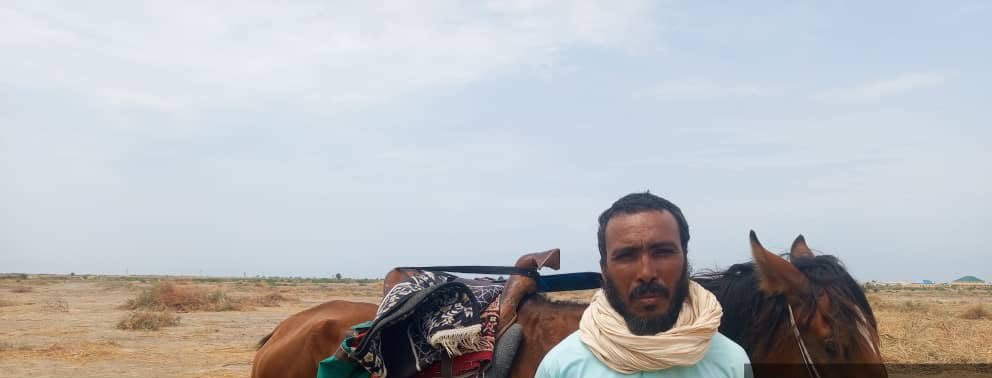 Nigerian Army Arrests Moroccan Terrorist In Borno