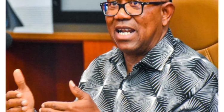 Good Governance Only Means To Nigeria’s Bright Future – Peter Ob 1 NaijaChoice Good Governance Only Means To Nigeria’s Bright Future – Peter Ob