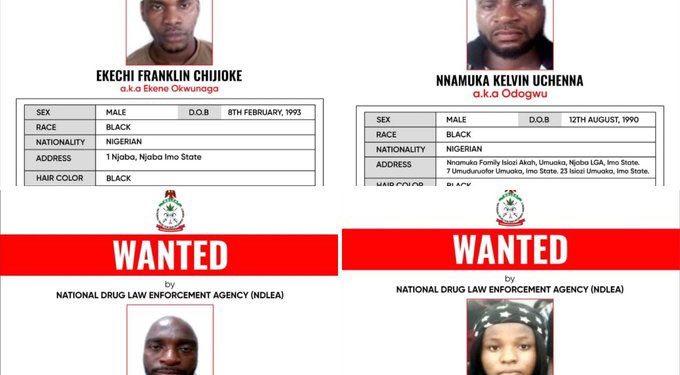 Imo Meth Factory: NDLEA Declares Drug Kingpin, Associates Wanted, Blocks ₦9.8b (Pics) 1 NaijaChoice Imo Meth Factory: NDLEA Declares Drug Kingpin, Associates Wanted, Blocks ₦9.8b (Pics)
