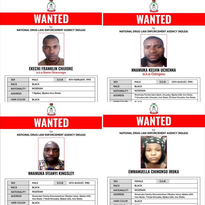 Imo Meth Factory: NDLEA Declares Drug Kingpin, Associates Wanted, Blocks ₦9.8b (Pics)