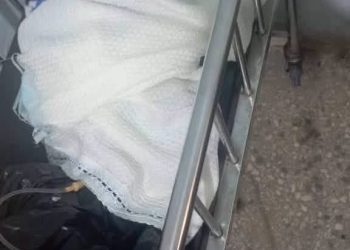 Who Abandoned This Newborn With Placenta Still Attached Along Kwara Farm Road?