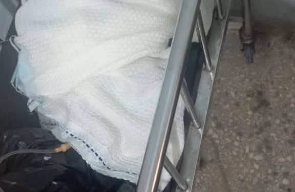 Who Abandoned This Newborn With Placenta Still Attached Along Kwara Farm Road? 1 NaijaChoice Who Abandoned This Newborn With Placenta Still Attached Along Kwara Farm Road?